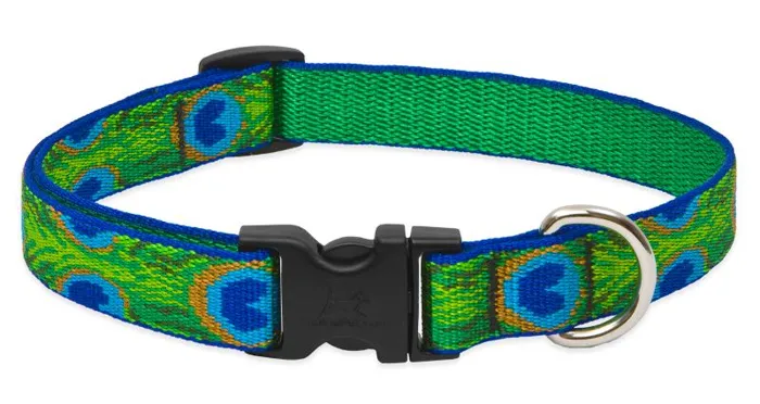 3/4in Tail Feathers 15-25 Adj