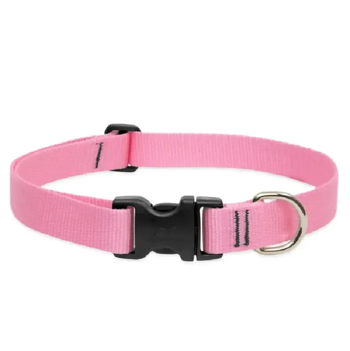 1in Pink 12-20 Adj Collar