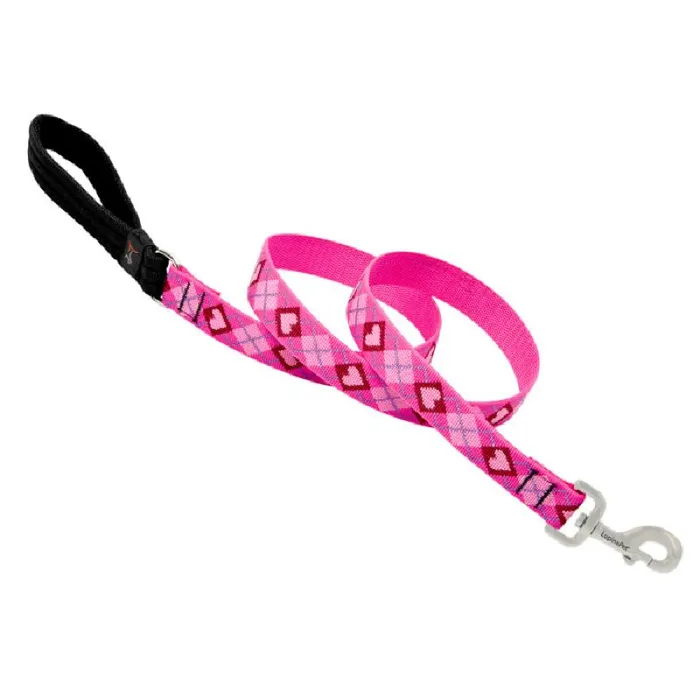 1in Puppy Love 6ft Leash