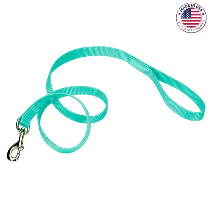 Single-ply Dog Leash, Teal, 5/8" X 6'