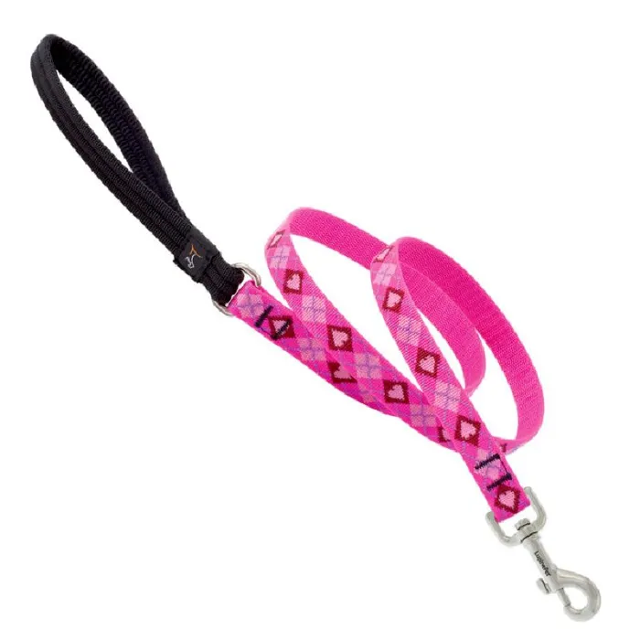 3/4in Puppy Love 6ft Leash