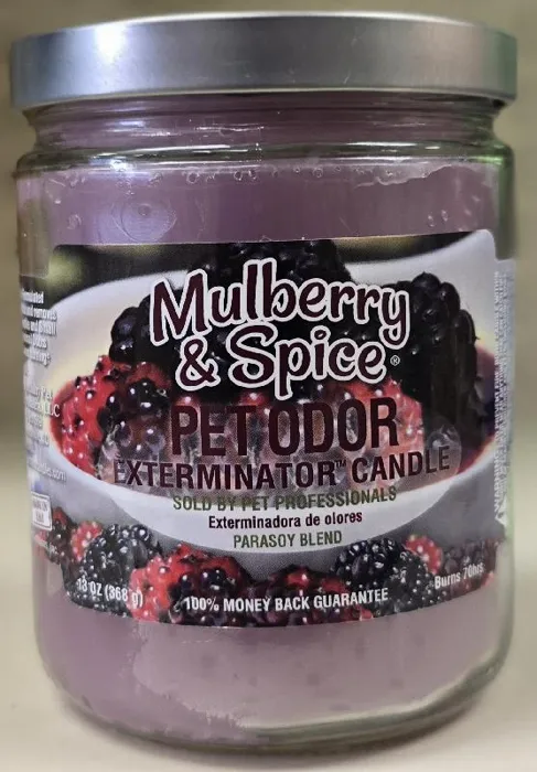 Mulberry Spice Candle 13oz Jar