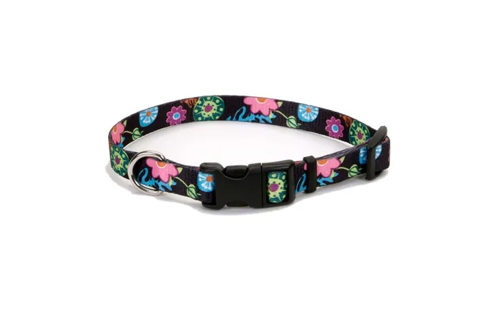 Adjustable Dog Collar, Wildflower, 1" X 18"-26"