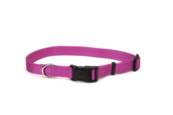 Adjustable Dog Collar With Plastic Buckle, Orchid1