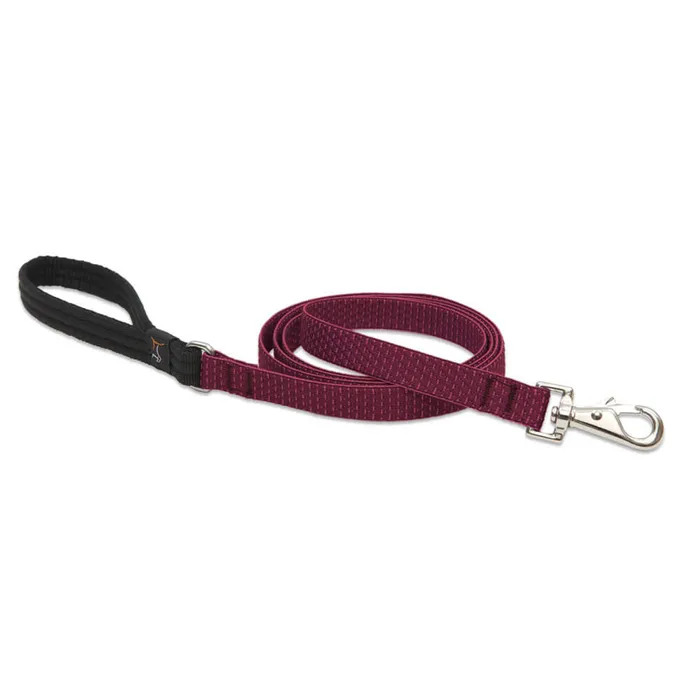 3/4in Berry 6ft Leash