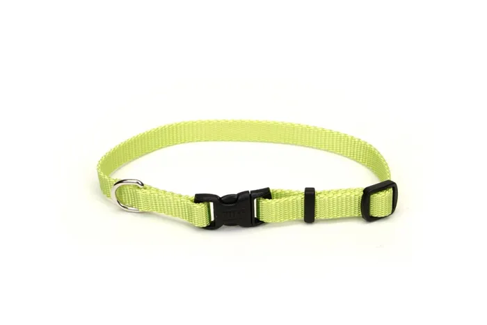 Adjustable Dog Collar With Plastic Buckle, Lime, 3