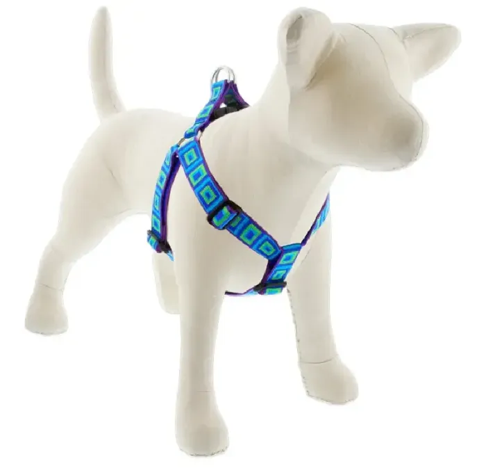 1in Sea Glass 19-28 Step In Hr