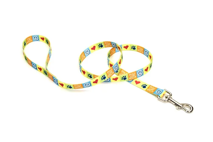 Dog Leash, Resolve, 5/8" X 06'