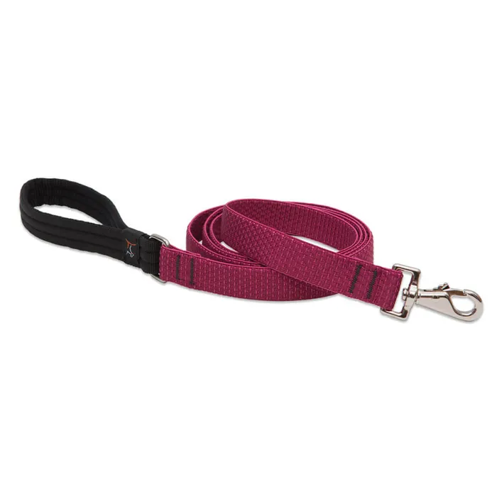 1in Berry 6ft Leash