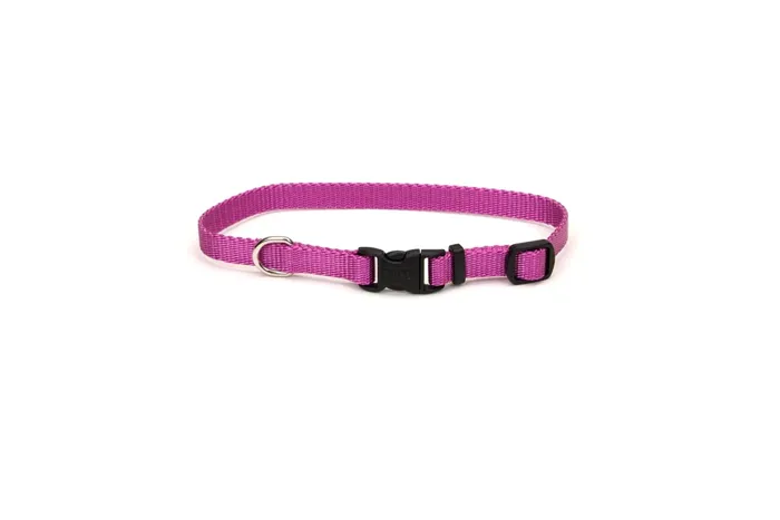 Adjustable Dog Collar With Plastic Buckle, Orchid,