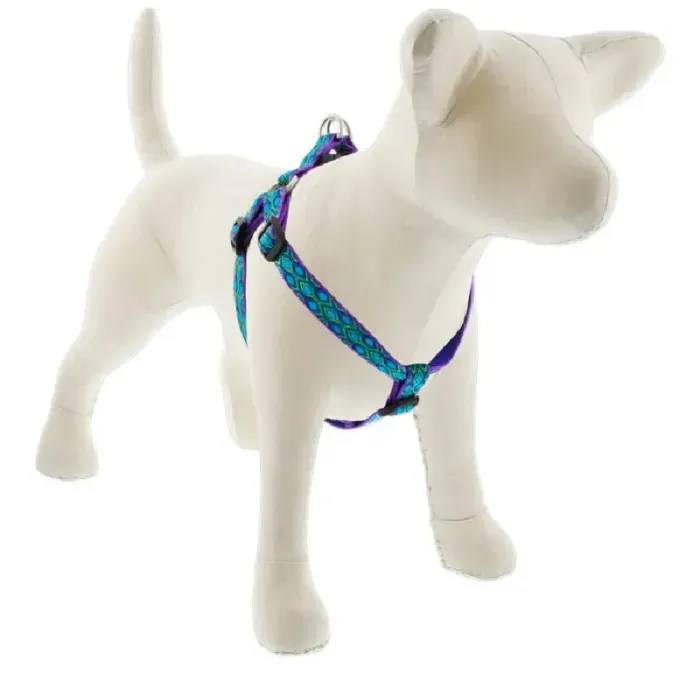 3/4in Rain Song 20-30 Step In