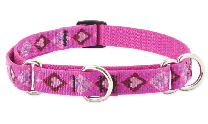 1in Puppy Love 19-27 Martingal