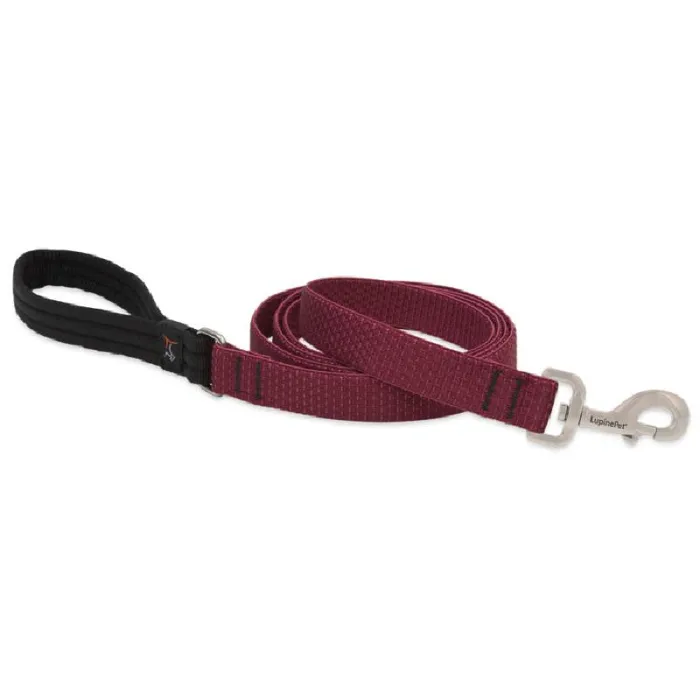 1in Berry 4ft Leash