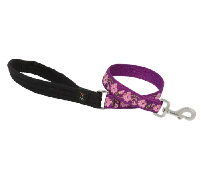 1in Rose Garden 2ft Leash