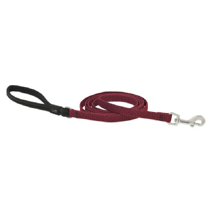 1/2in Berry 6ft Leash