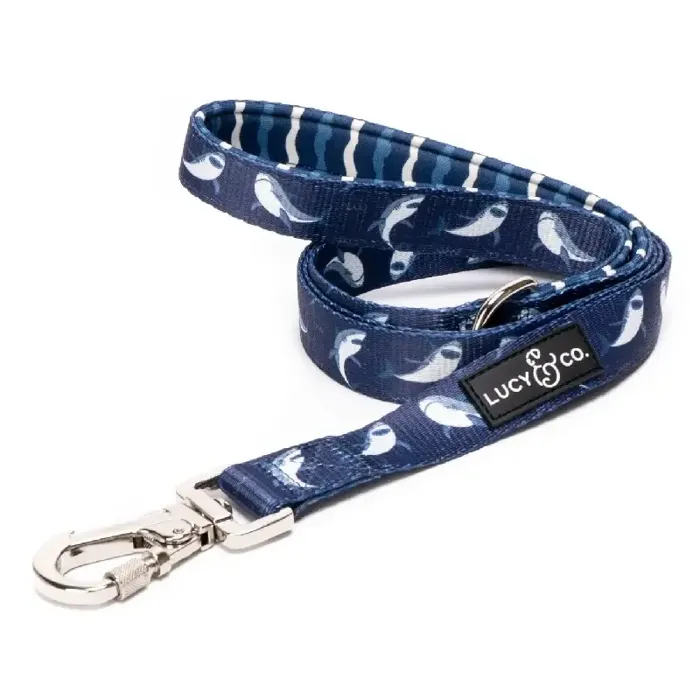 Shark Attack Leash L