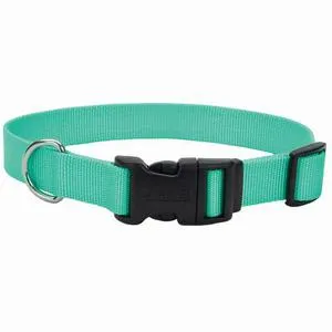 Adjustable Dog Collar With Plastic Buckle, Teal, 5