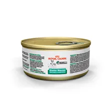 Rc Mother/bbydog Mousse 24/5.1z