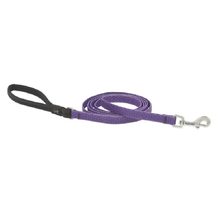 1/2in Lilac 6ft Leash
