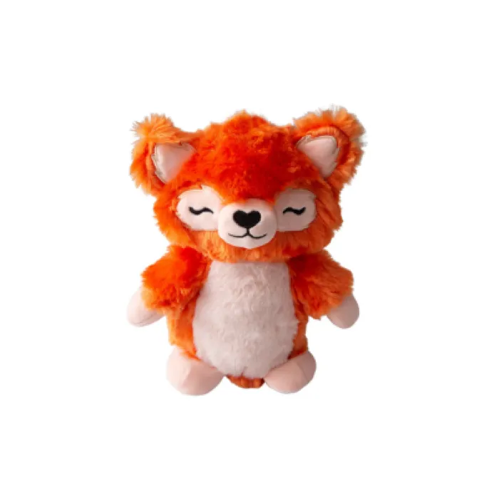 Young Panda - Red Panda