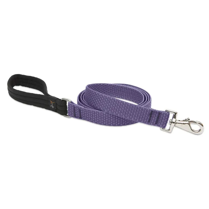 1in Lilac 6ft Leash