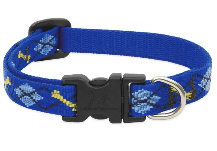 1/2in Dapper Dog 6-9 Adj Colla