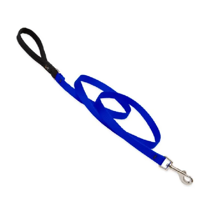 1/2in Blue 6ft Leash