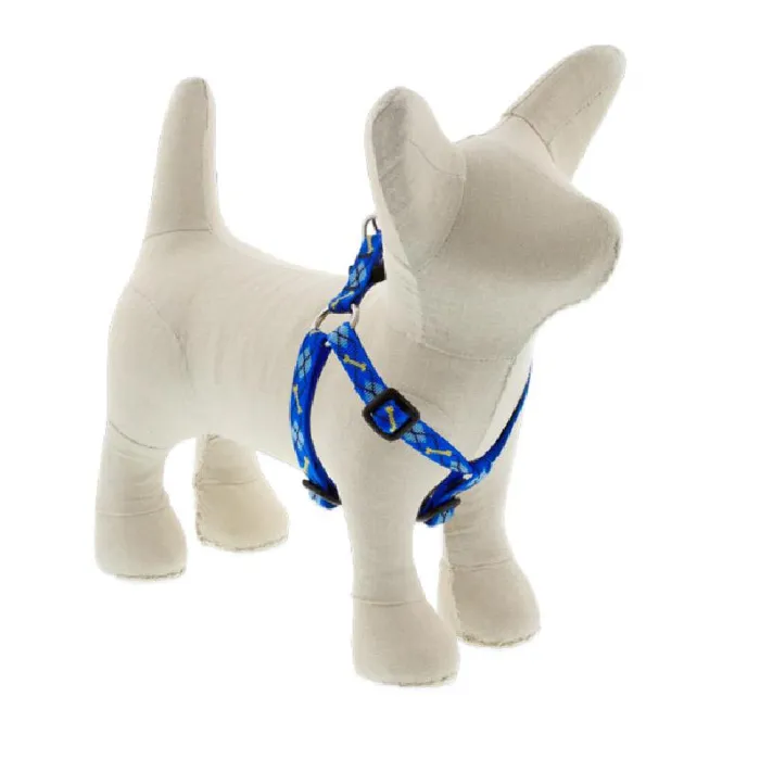 1/2in Dapper Dog 10-13 Step In