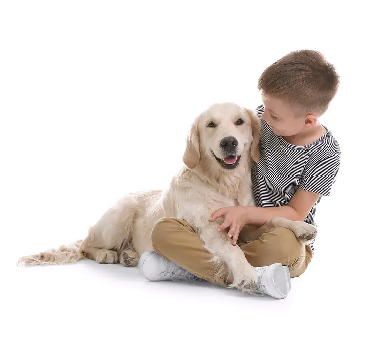 Child sharing a loving moment with a golden retriever