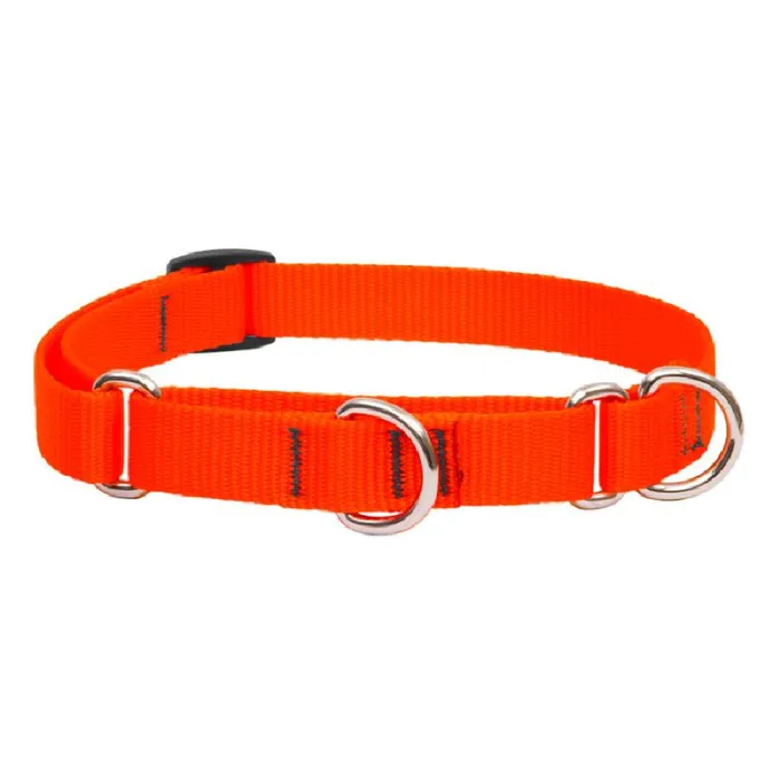 Lupine Martingale 14"-20" Blaze Orange 14"-20" 3/4