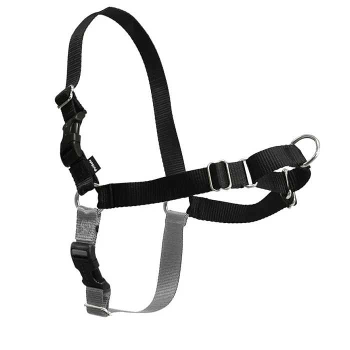 Easy Walk Harness, No Pull Dog Harness Petite Blk