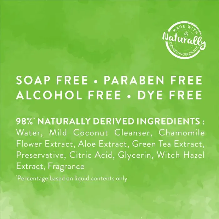 Watermelon 2 In 1 Wipes - 100 Ct
