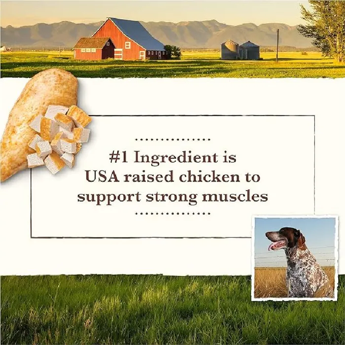 Merrick Whole Earth Farms 12/12.7oz Puppy Recipe (