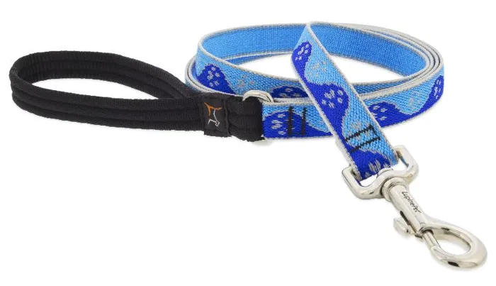 1 Inch Blue Paws Leash 4 Foot