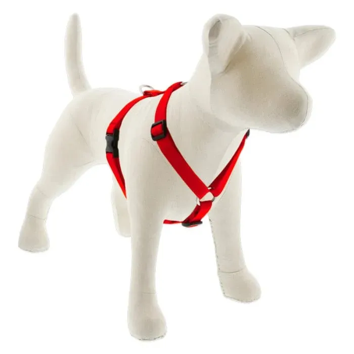 Lupine Basics Roman Harness 14-24" Red 3/4"
