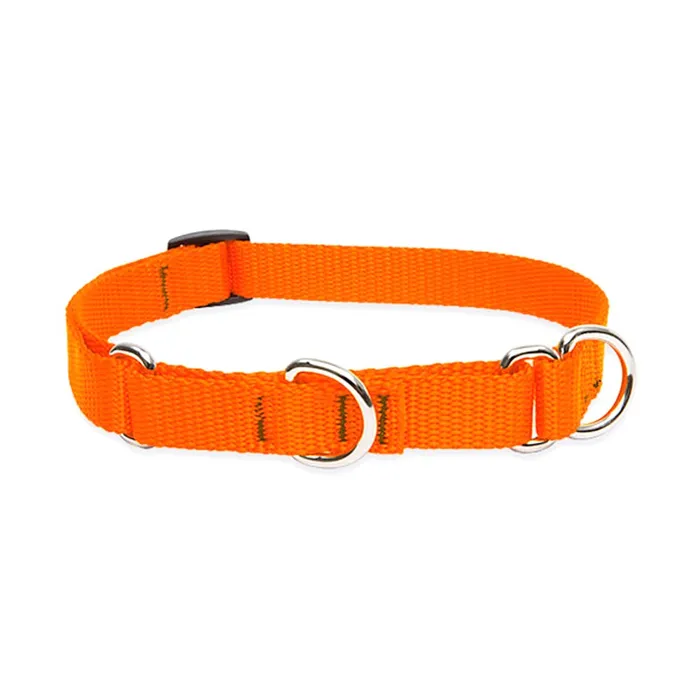 Lupine Martingale 14"-20" Blaze Orange 14"-20" 3/4