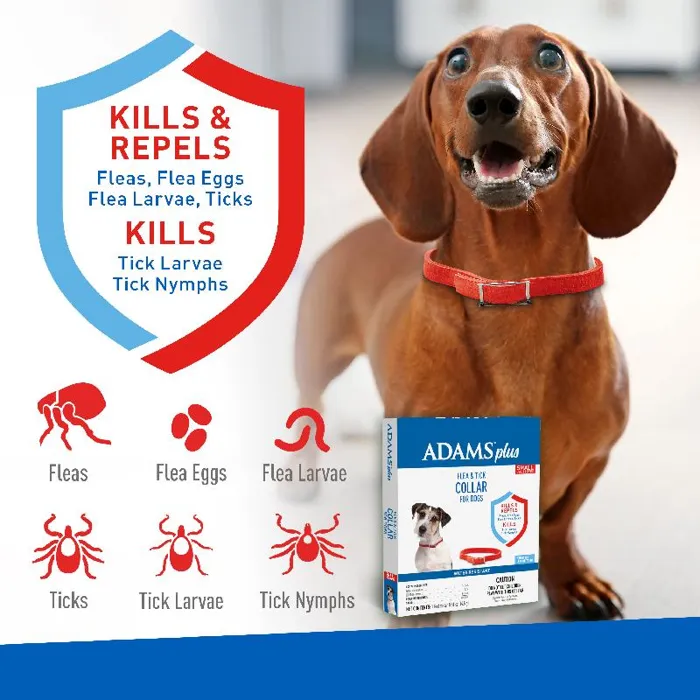 Adams Flea & Tick Collar Dog Small