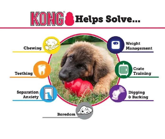 Kong Puppy Toy Classic Large Assorted Colors