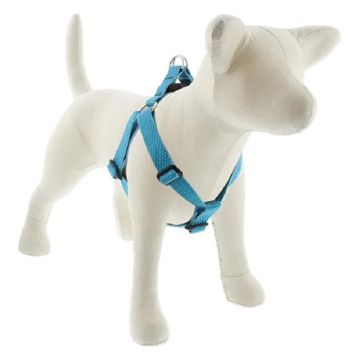 Lupine 1" Tropical Sea 24"-38" Step In Harness