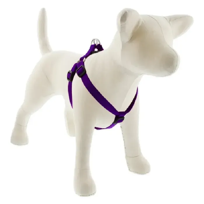 Lupine Solids - Harness 3/4" Purple 15 - 21"