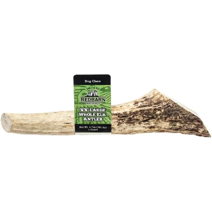 Whole Elk Antler - Xxlrg