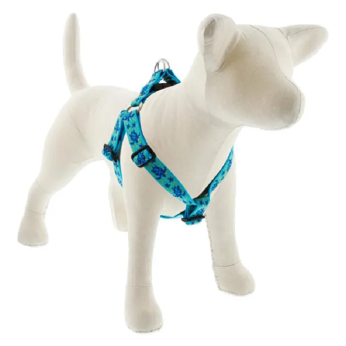 Step In Harness 24-38" X 1" Turtle Reef Pattern