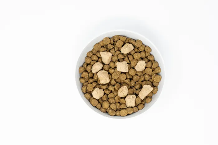 Stella & Chewy's Raw Blend W/ Grains Cage Free 22-lb