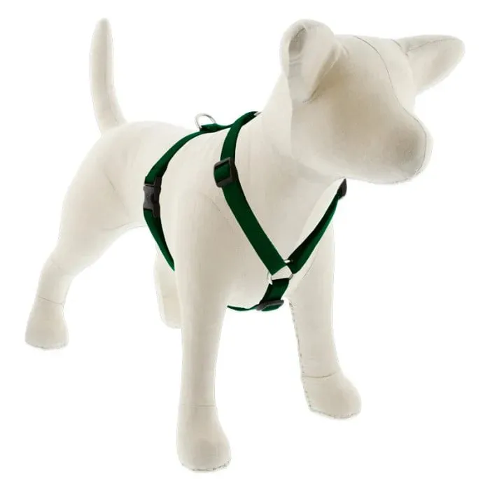 Lupine Basics Roman Harness 14-24" Green 3/4"