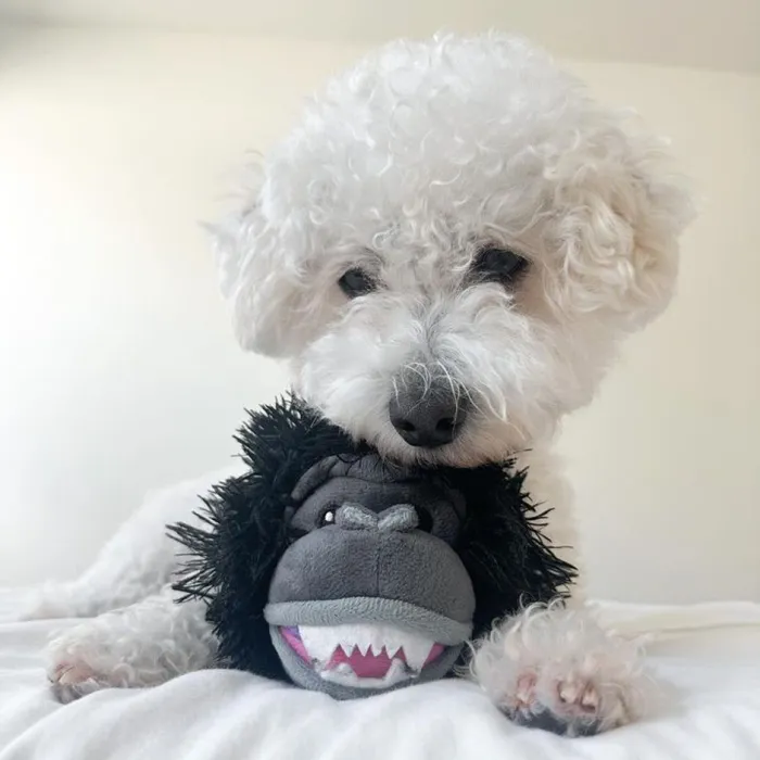 Tall Tails 2-in-1 Gorilla Head 4"