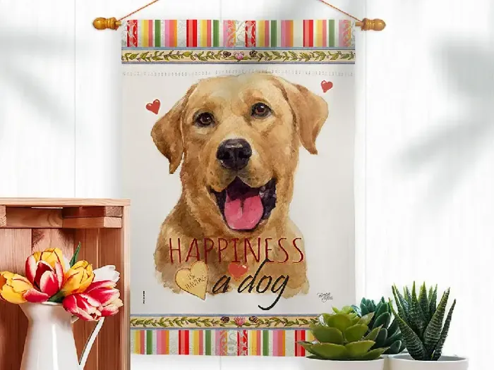 Yellow Labrador Retriever