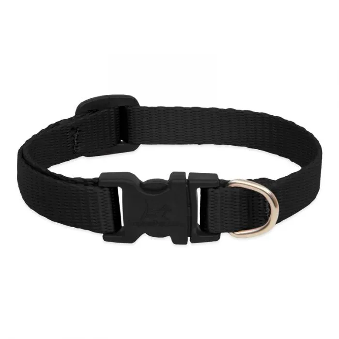Lupine Adjustable Collar 3/4" 15-25" Black