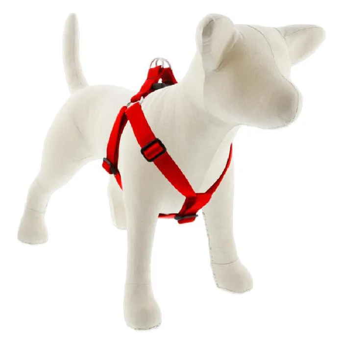 Lupine 1" Step In Harness Red 19"-28"