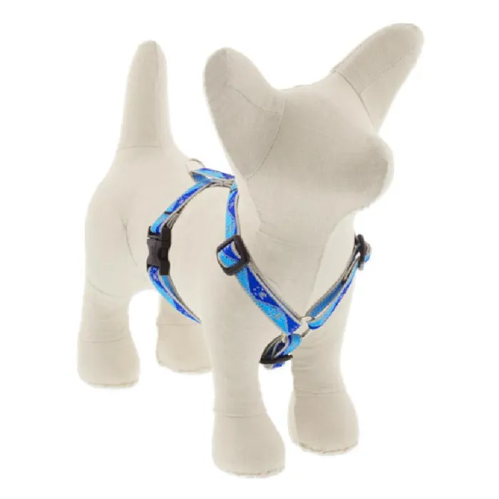 Hl 1/2in Blue-paws 12-18 Step In Hrns