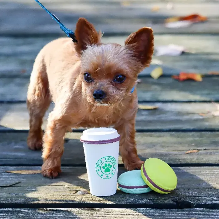 Latex Toy Set - Coffee Cup And Two Cookies 3.5"